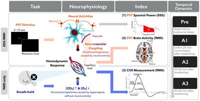 Temporal consistency of neurovascular components on awakening: preliminary evidence from electroencephalography, cerebrovascular reactivity, and functional magnetic resonance imaging